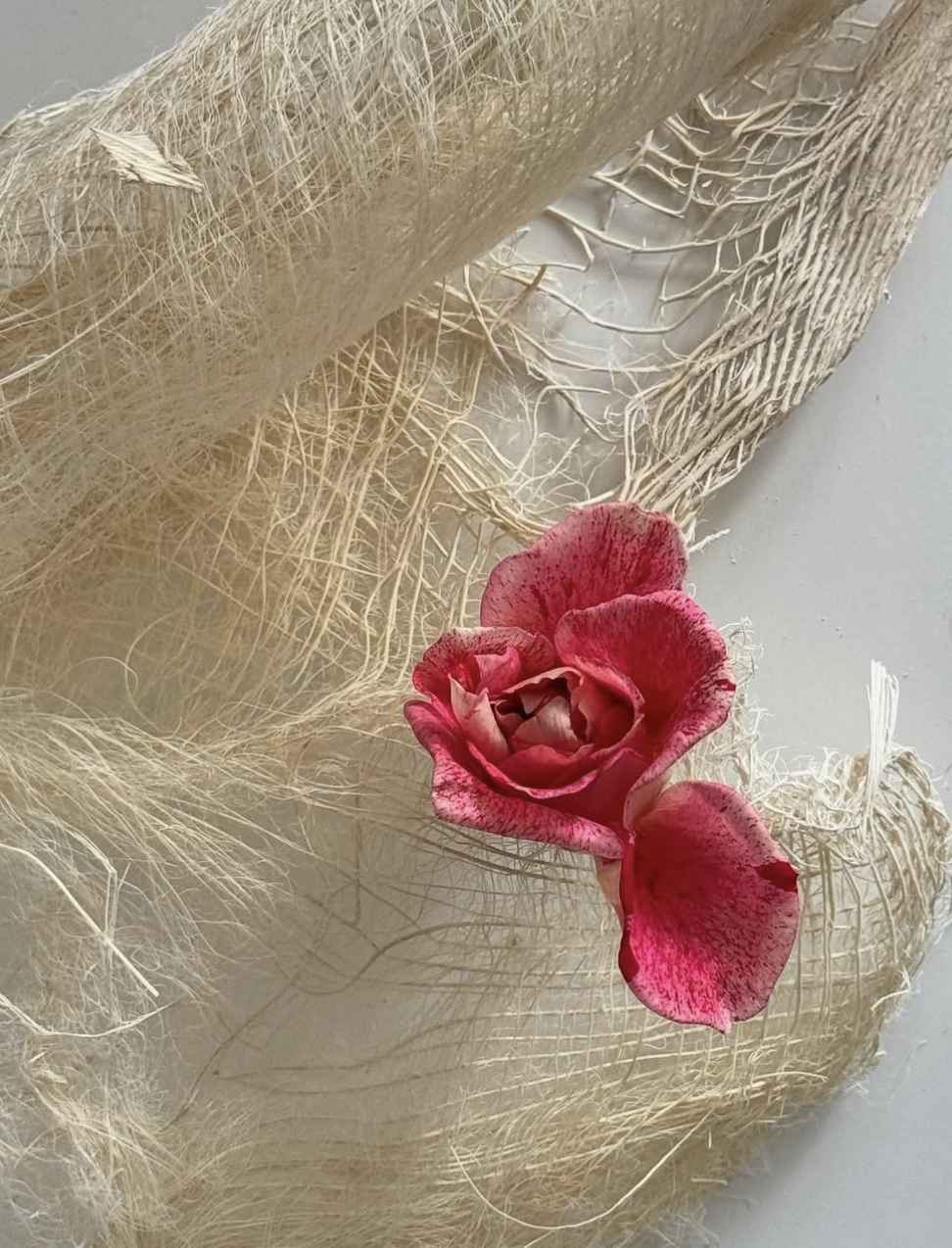 Screenshot 2026-01-09 at 17.24.45.png