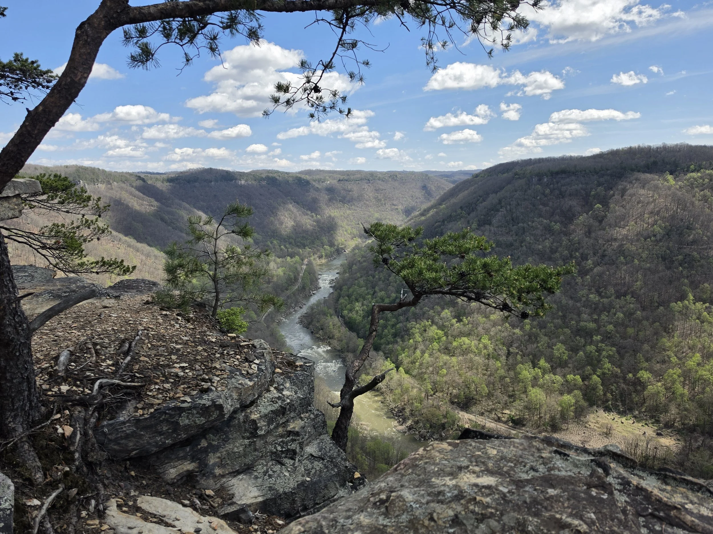 New River Gorge seen from Endless Wall Trail