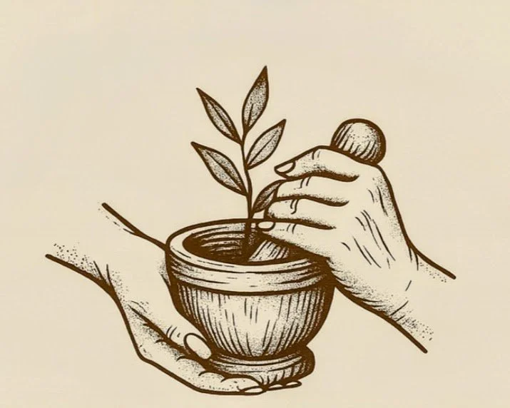 Line drawing of two hands holding a small pot with a leafy plant, one hand is planting or tending to the plant.