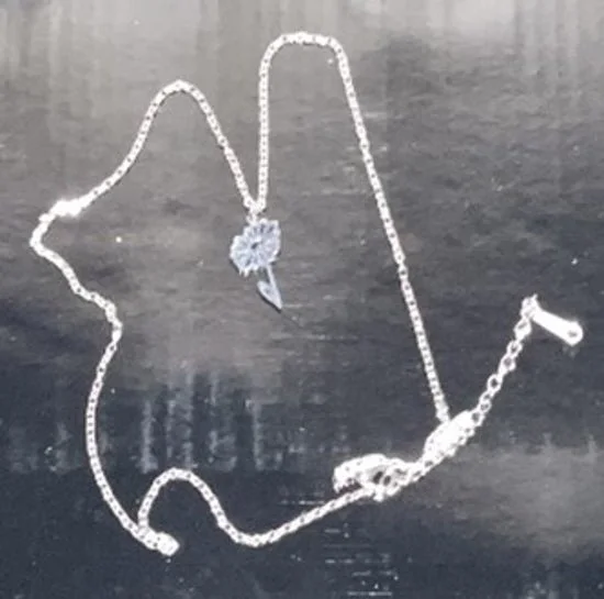 SGS-002 Stainless steel necklace with daisy.jpeg