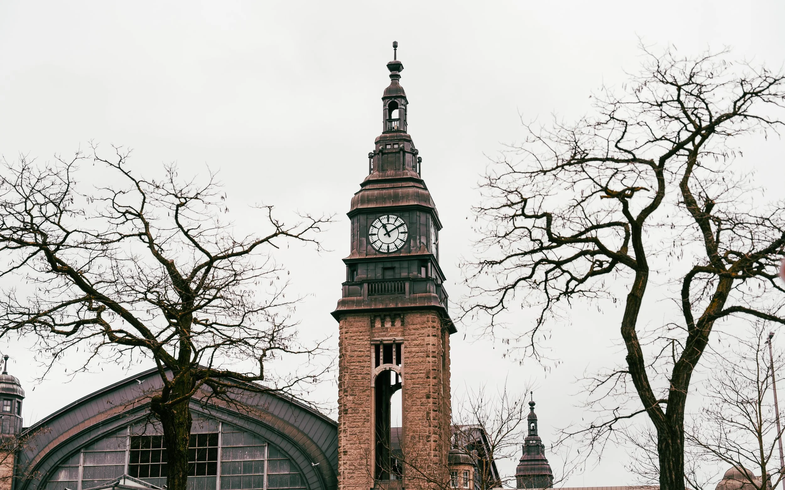 Copy of TIM01365.jpg