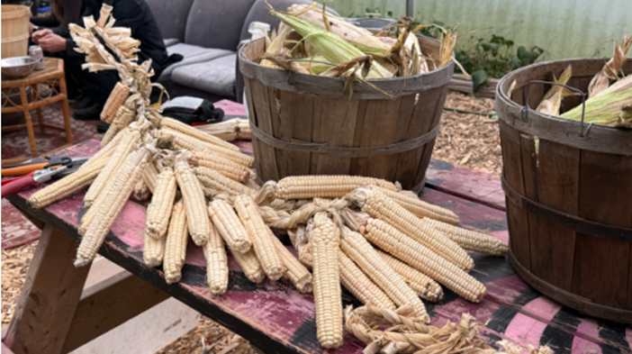 The Corn Wisdom Way