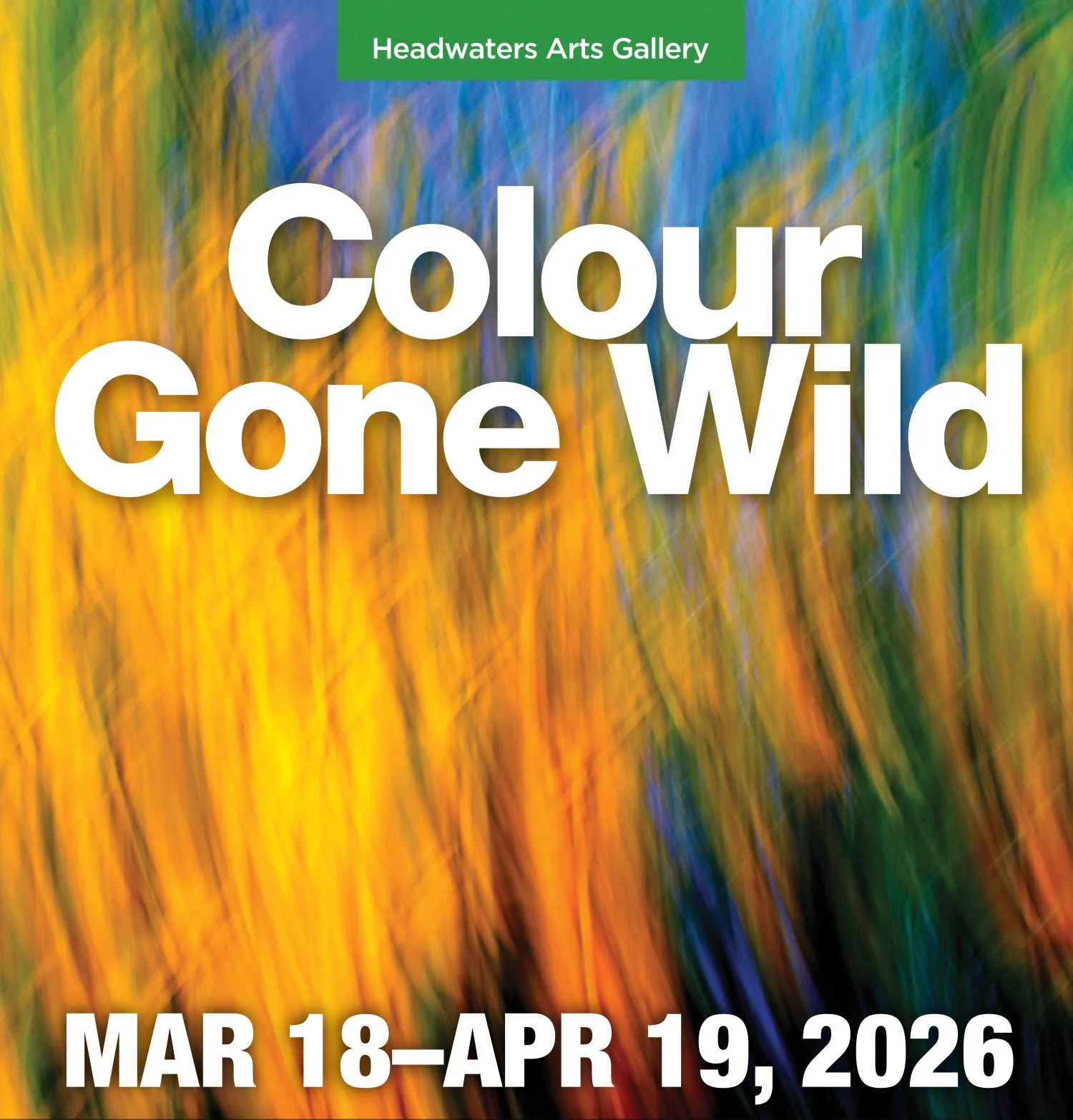 Colours Gone Wild Opening Reception 