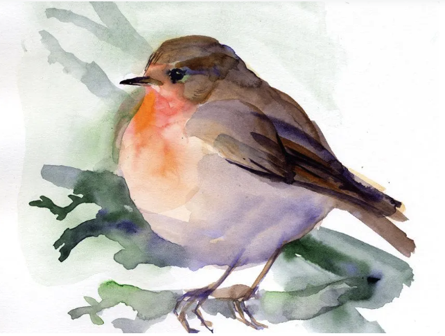Spring Robin Watercolour Workshop