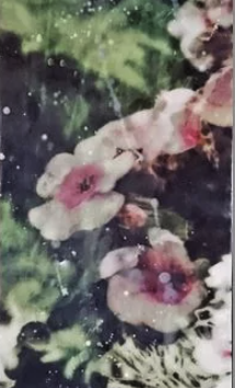 Photo Encaustics Workshop