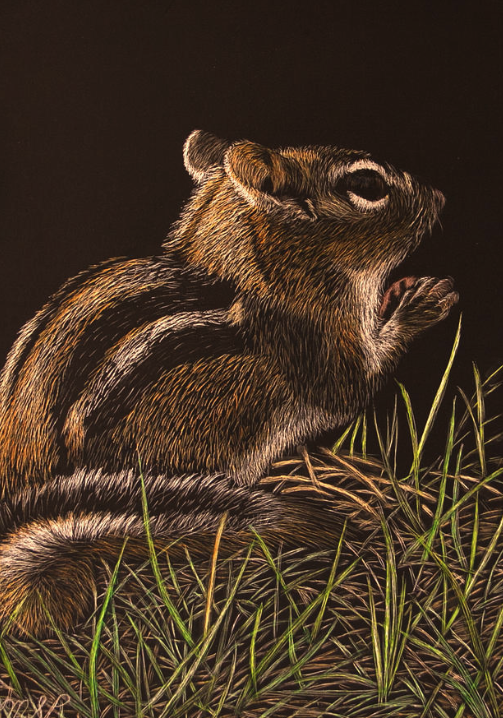 Introduction to Scratchboard