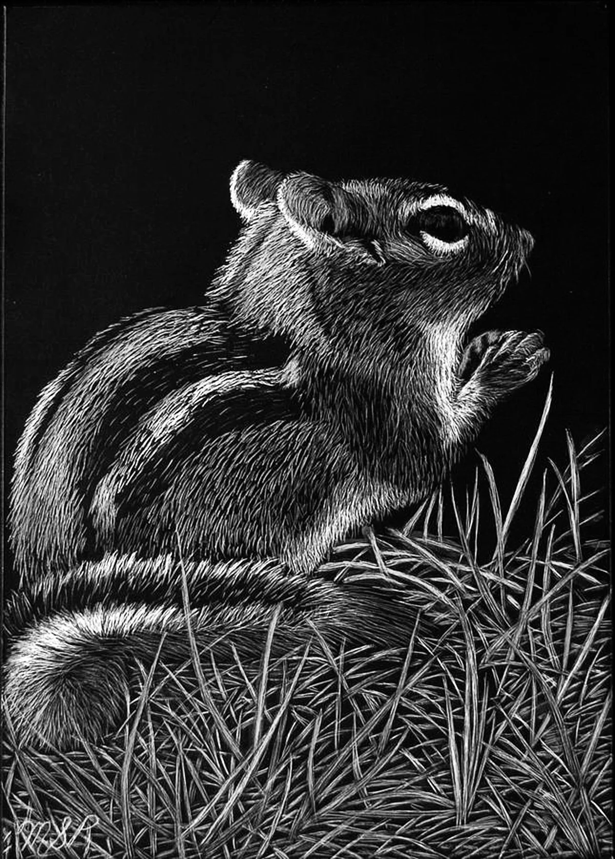 Introduction to Scratchboard