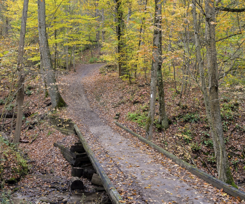 Screenshot 2025-11-05 at 12.58.45 PM.png