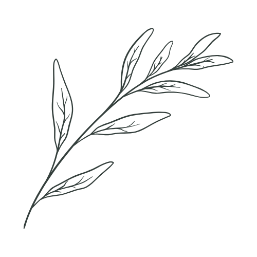 Line drawing of a leafy branch with multiple leaves on a black background.
