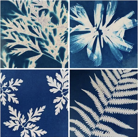 Cyanotype Sun-Printing