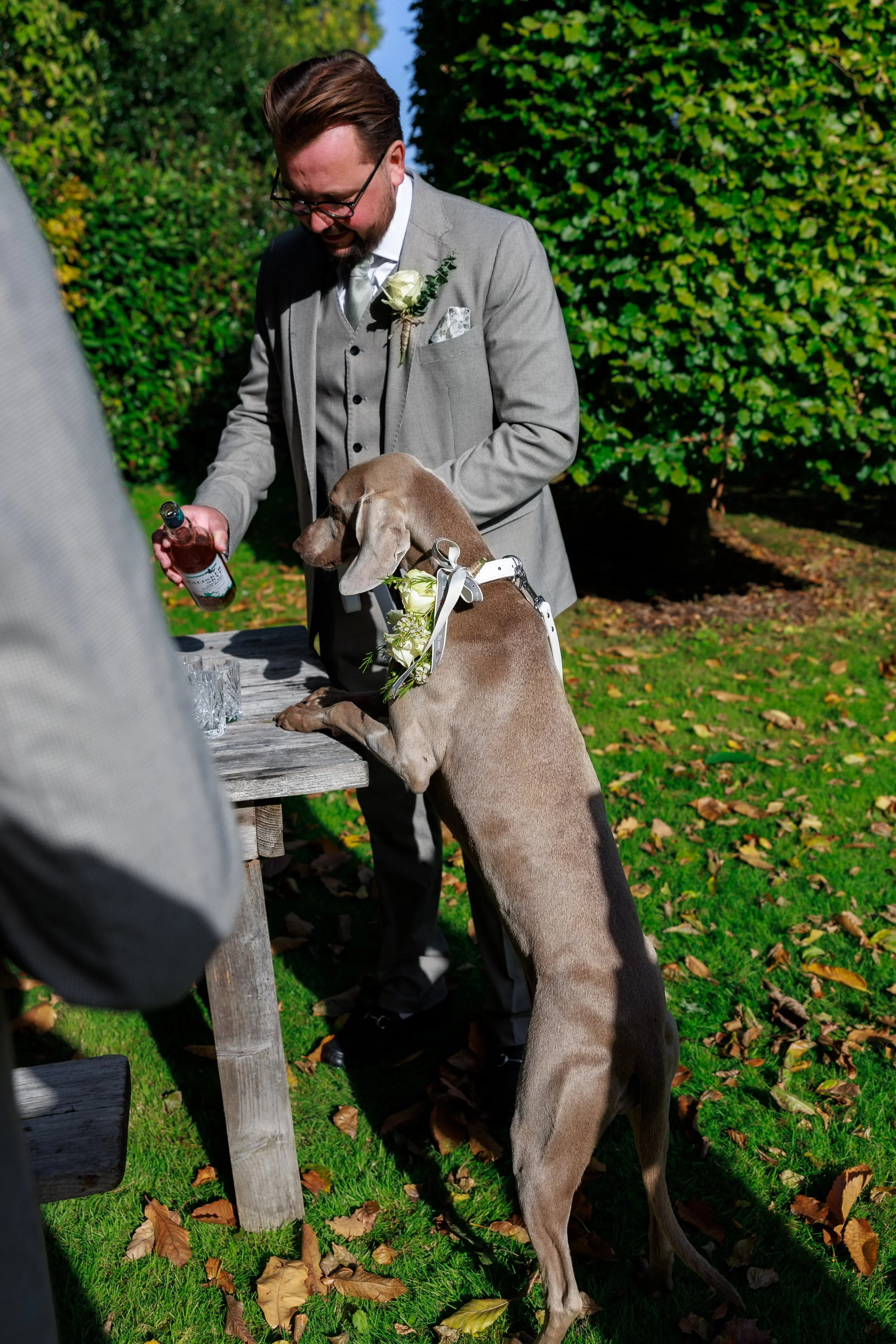 IMG_8195.JPG
