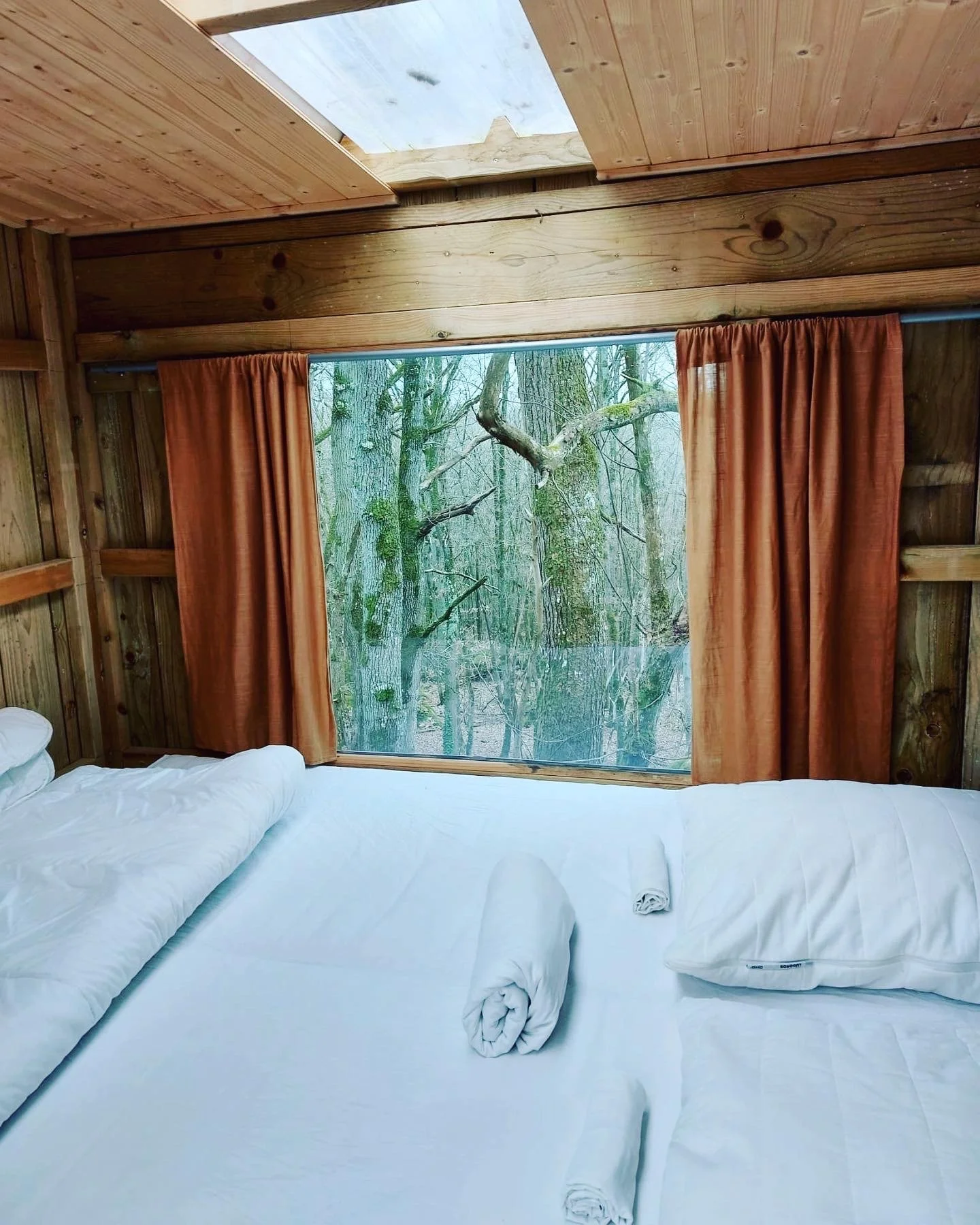 Retraite de yoga privée                      Forêt de Fontainebleau