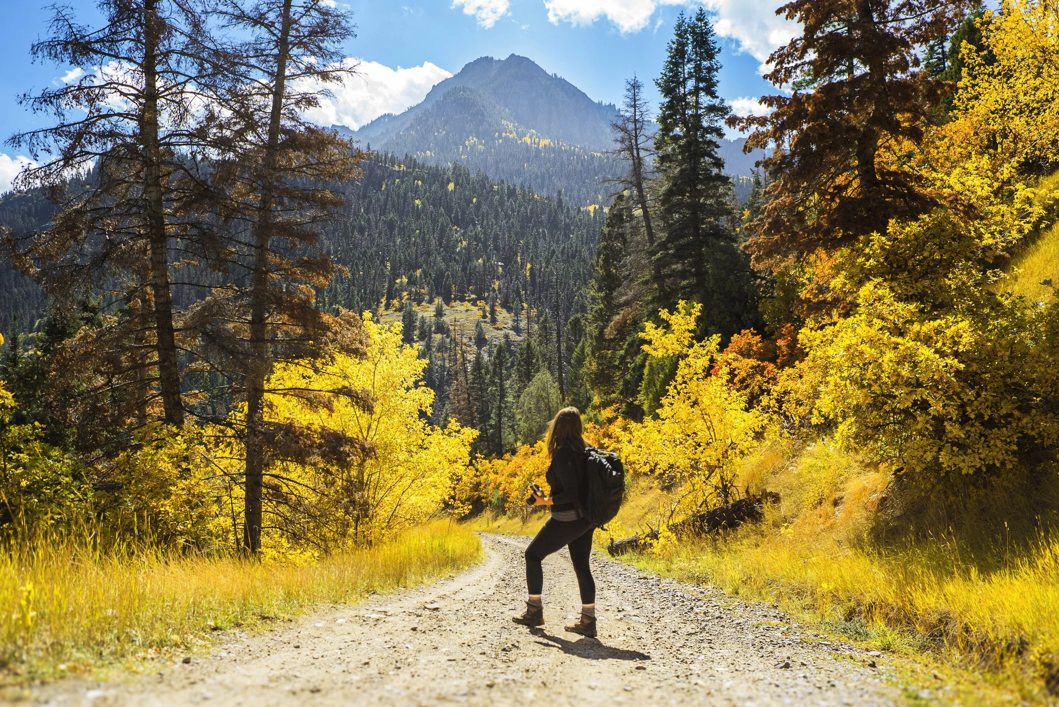 Colorado Hidden Fall Hikes 🍁🏔️