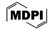 MDPI logo with black text and a geometric border.
