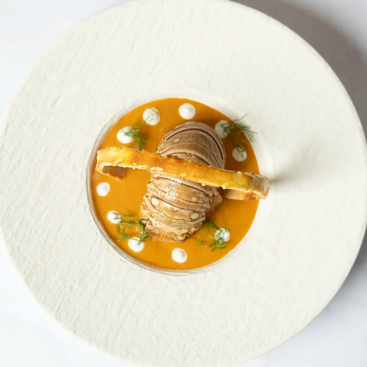 A plated dish featuring a carved lobster tail on orange sauce, garnished with dill, with white sauce dots and a piece of lemon on top.