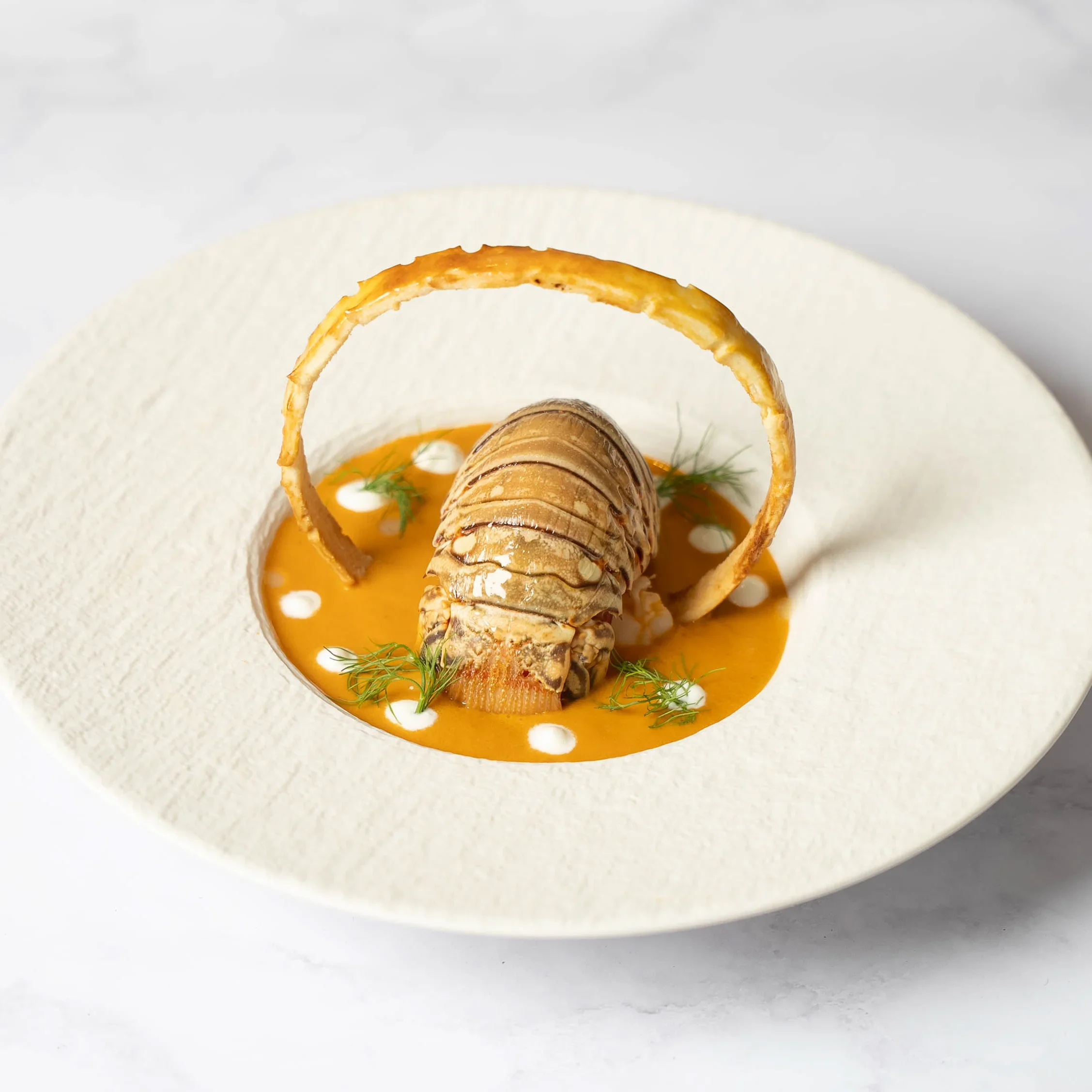 Lobster with a curved shell on a bed of orange sauce, garnished with small white dots and green herbs in a white textured bowl.