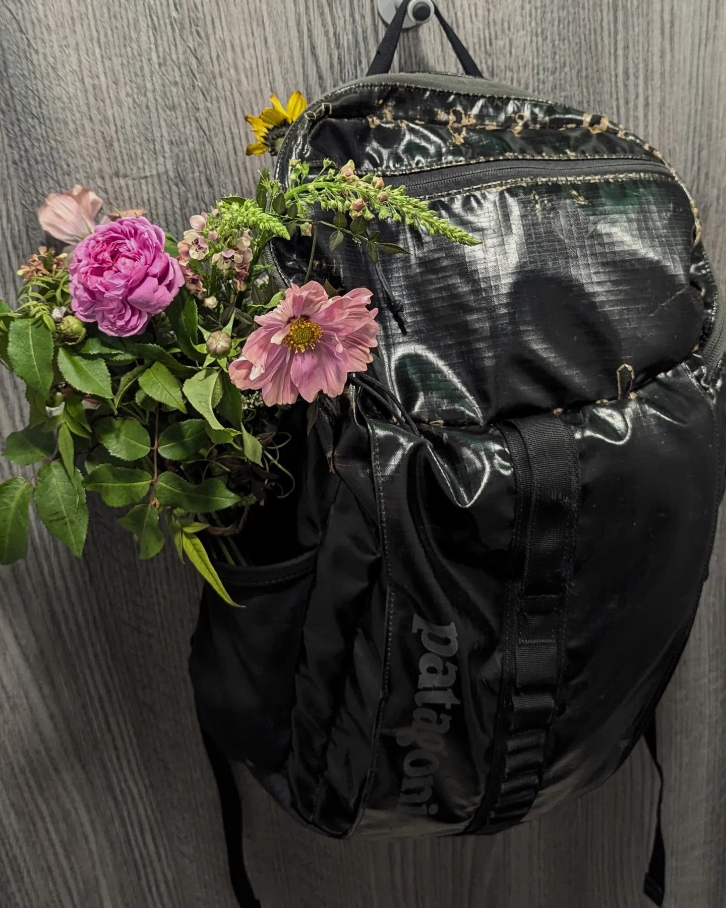 Some snippets into our guest Isabelle Saxton&rsquo;s life. 

Soon, you&rsquo;ll get to know Isabelle and her philosophy &amp; knowledge on a healthy, sustainable lifestyle. 

Episode launching on Saturday, November 29th. 

#IsabelleSaxton #HouseofNea