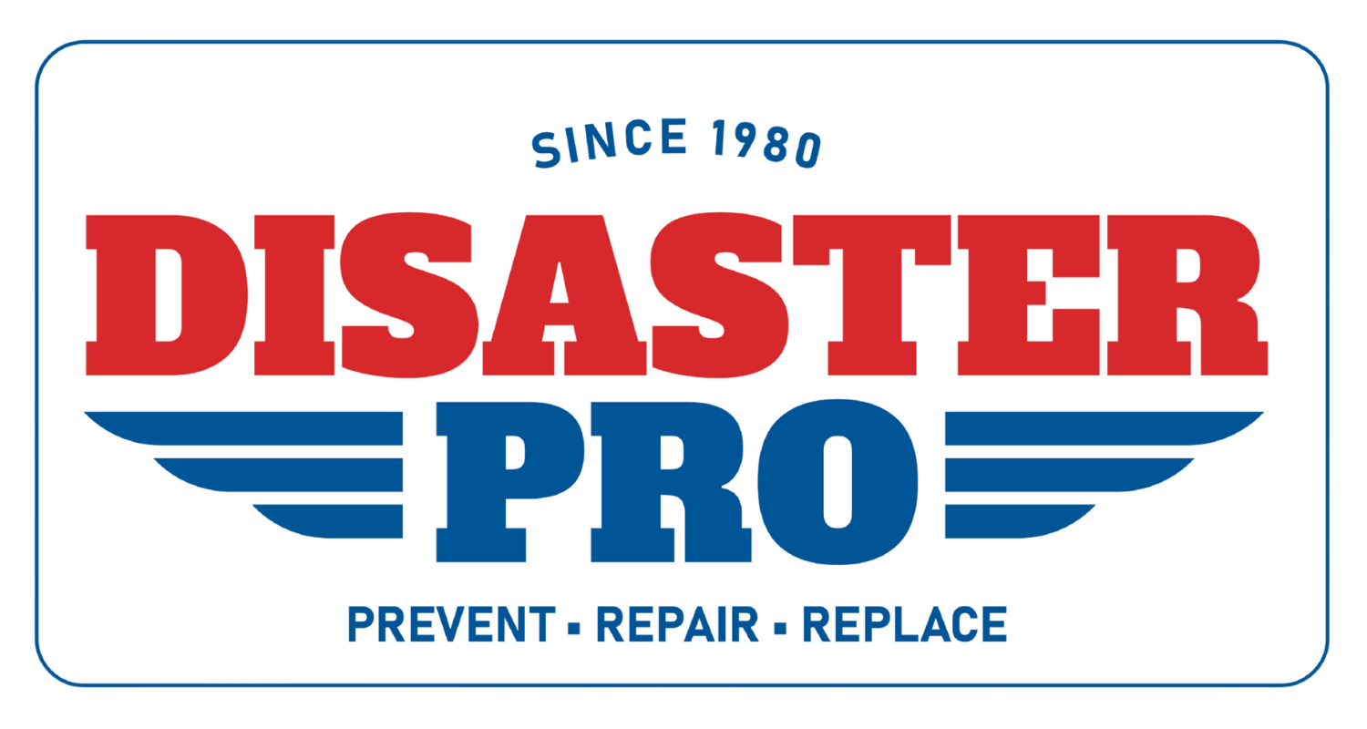 Disaster Pro