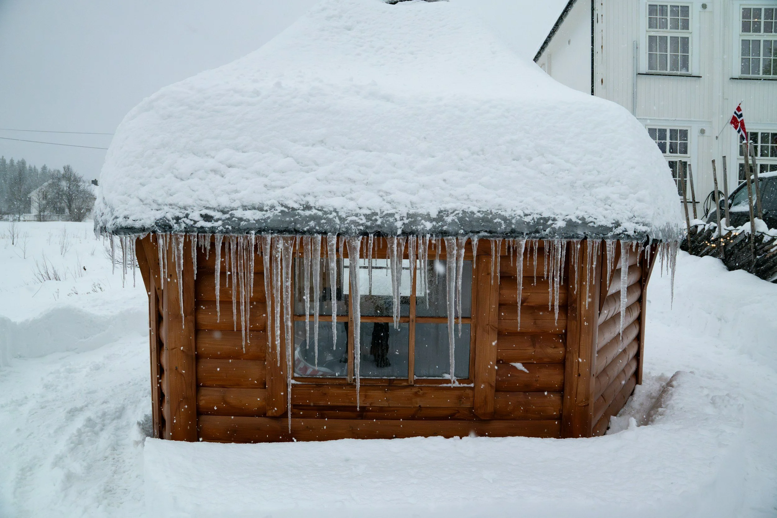 Winter Storm Damage: How Disaster Pro Helps You Recover Faster and Fairly