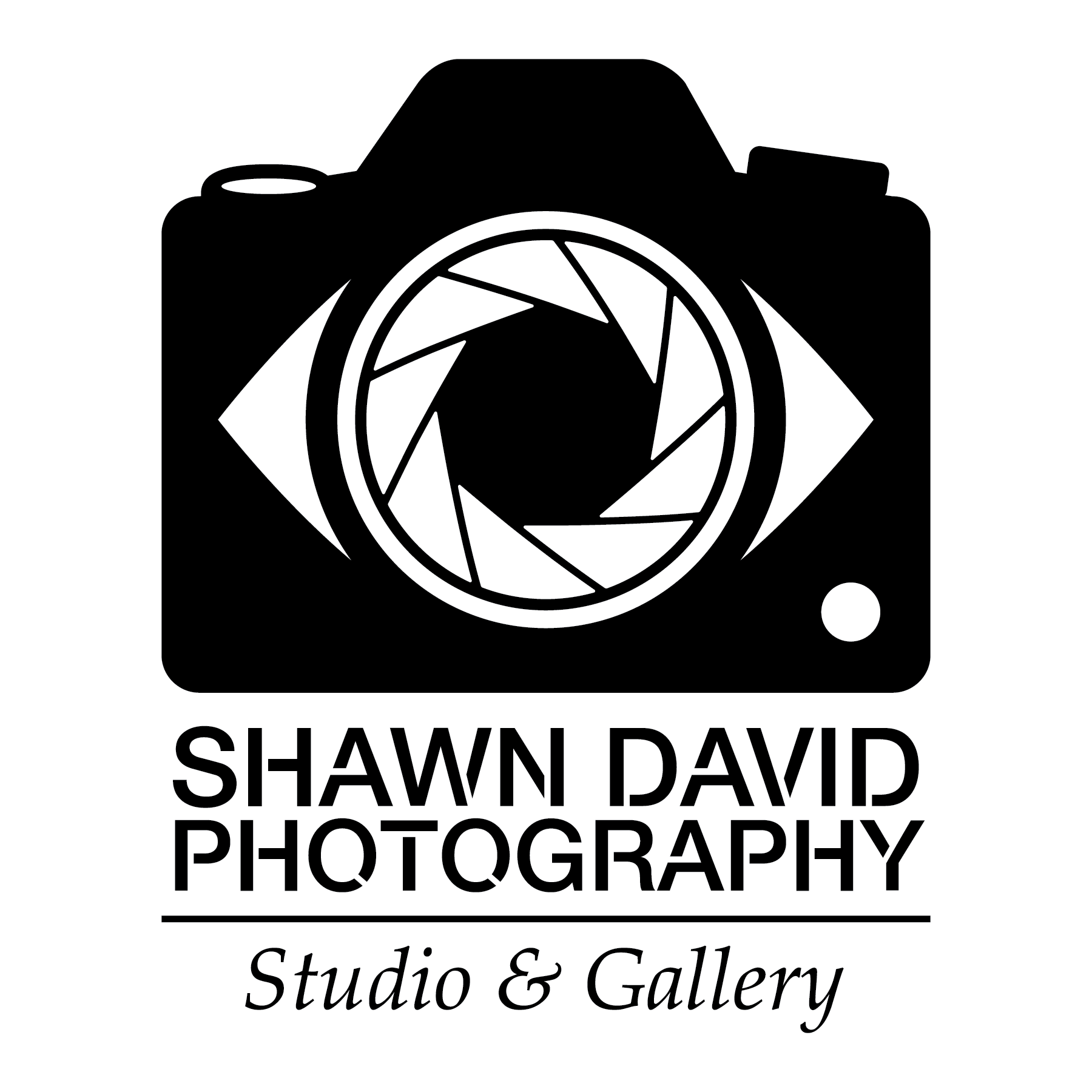 Shawn David Logo Black.png