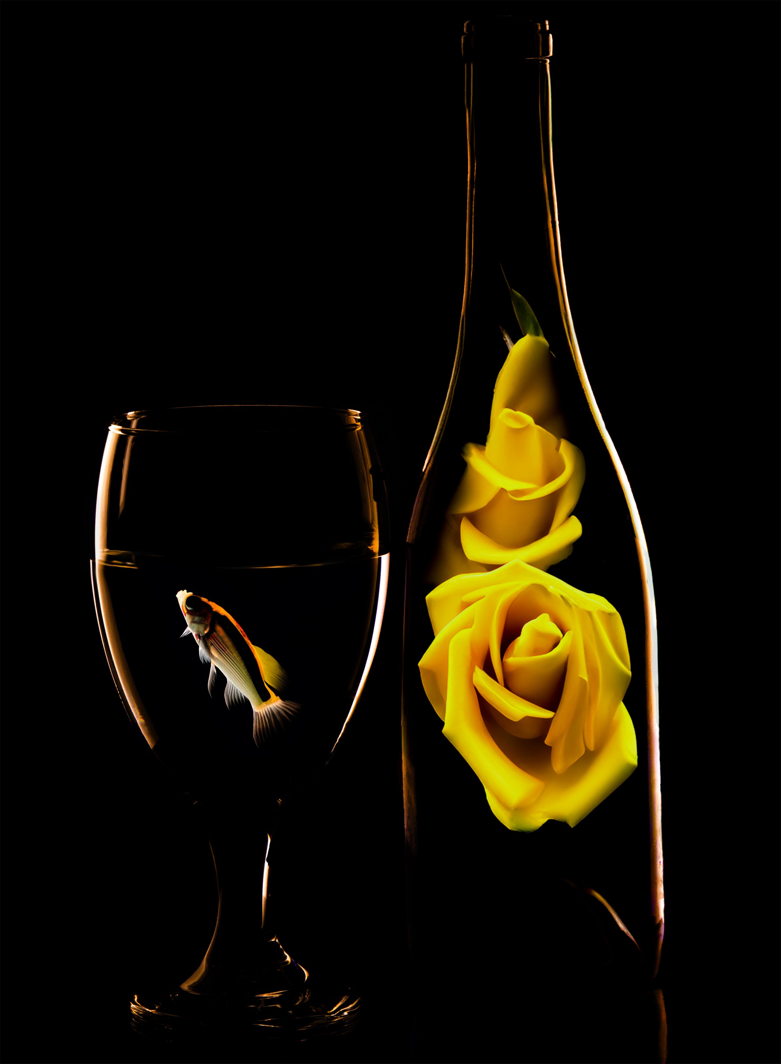 Bottle Series Gold Fish:Rose@1.25x.jpg