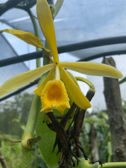 IMG_8846.GIF