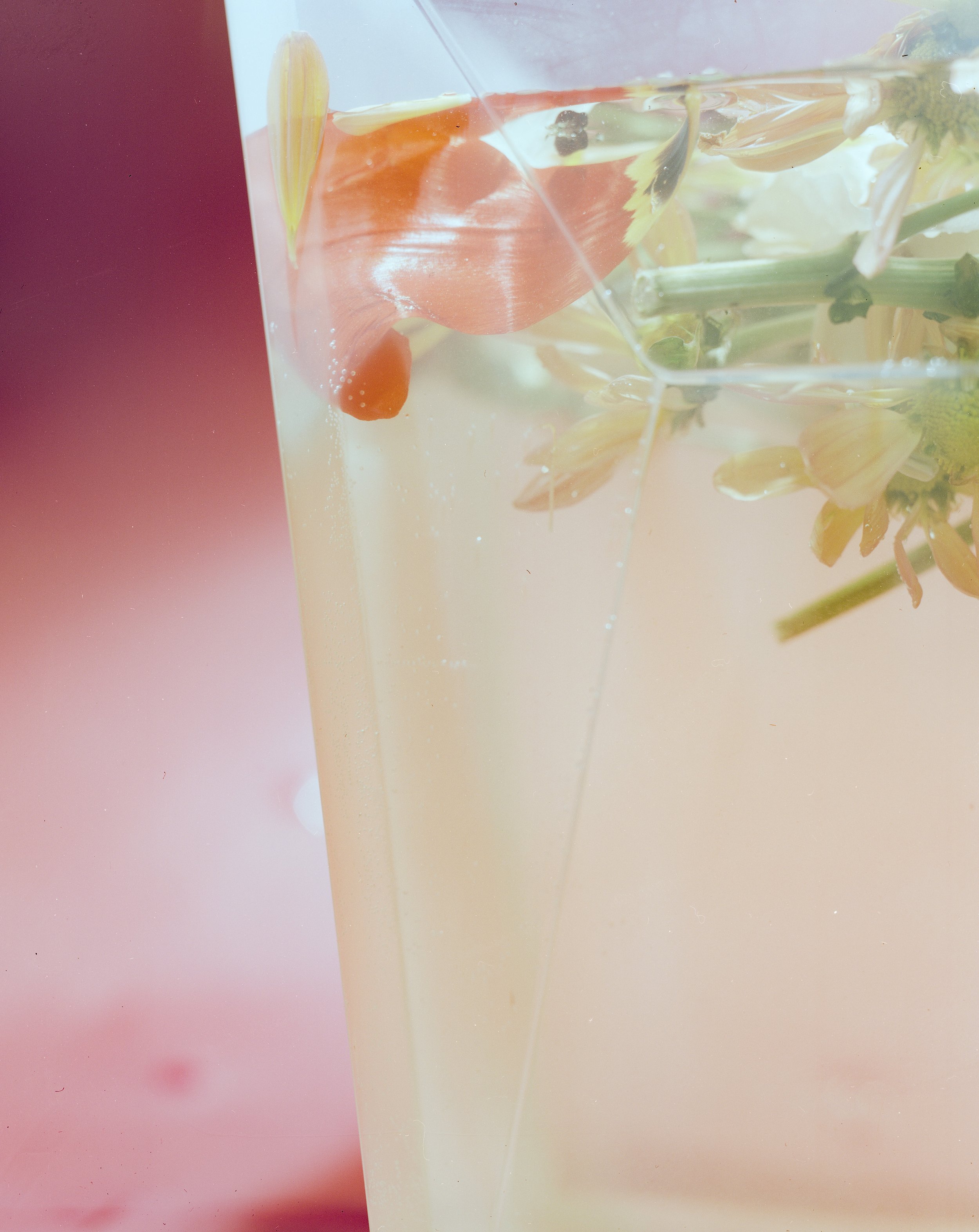 flowers4.jpg