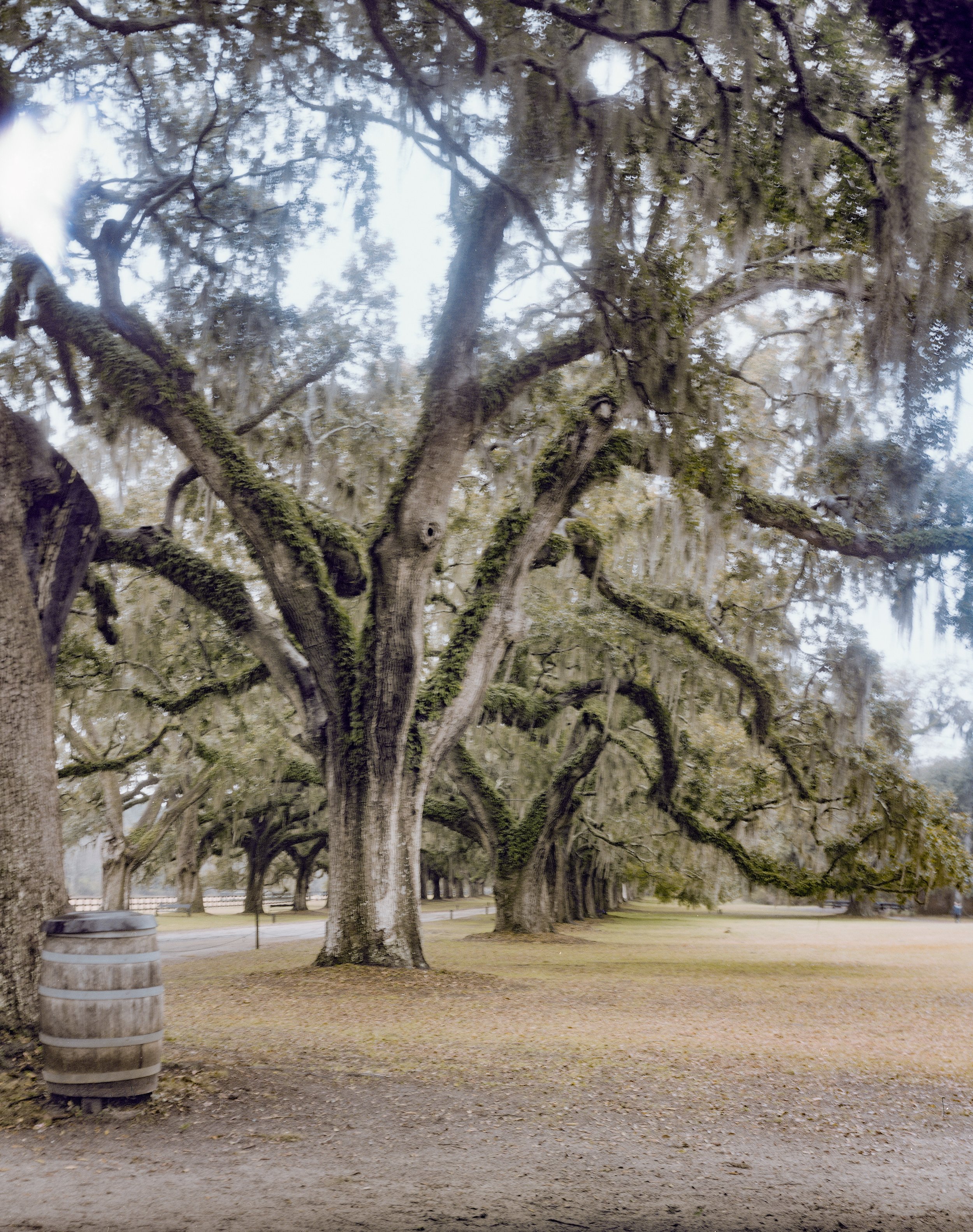 south carolina 1.jpg