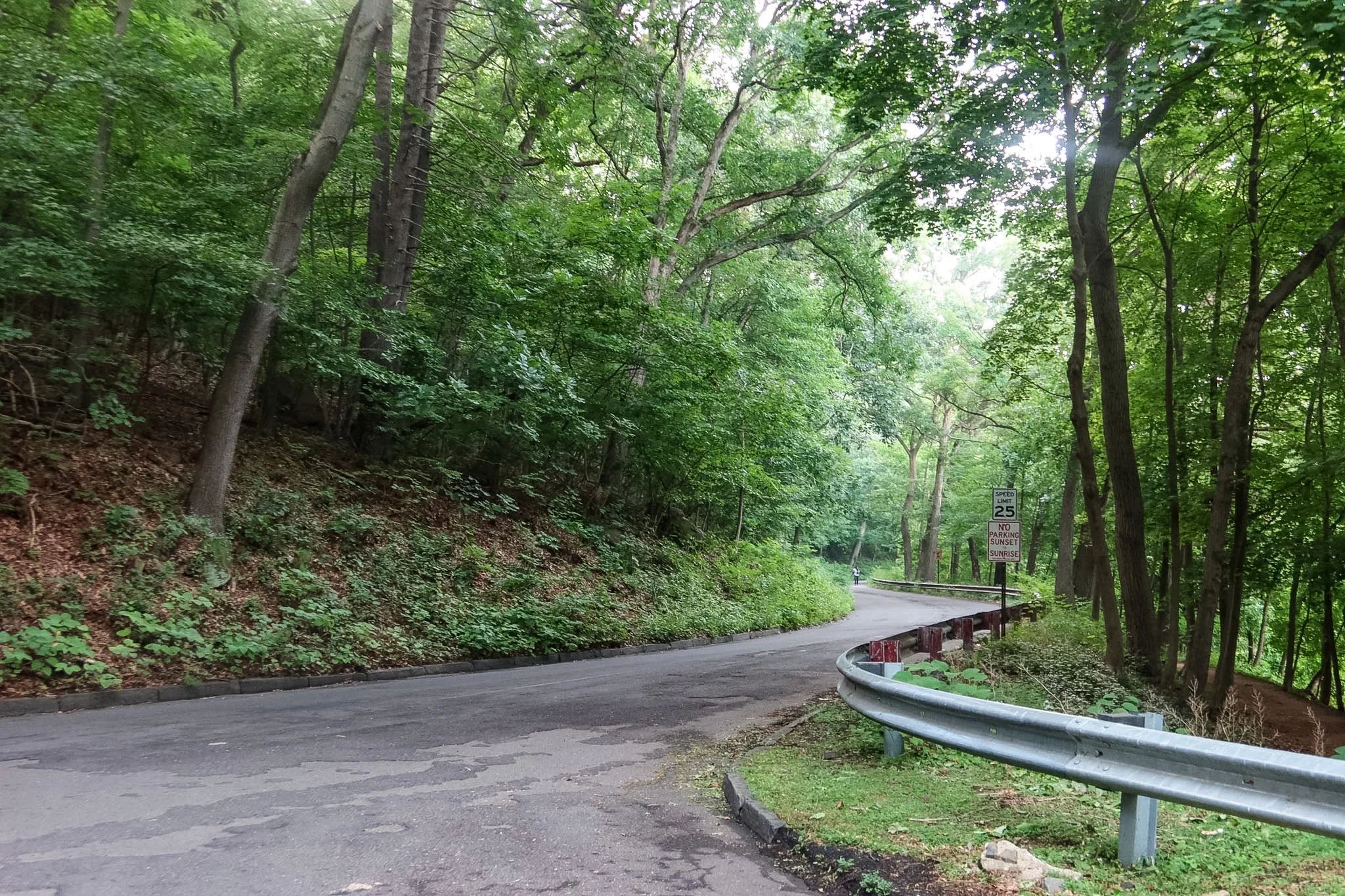 ElishevlyneEliason_EastRockPark_2026.JPG