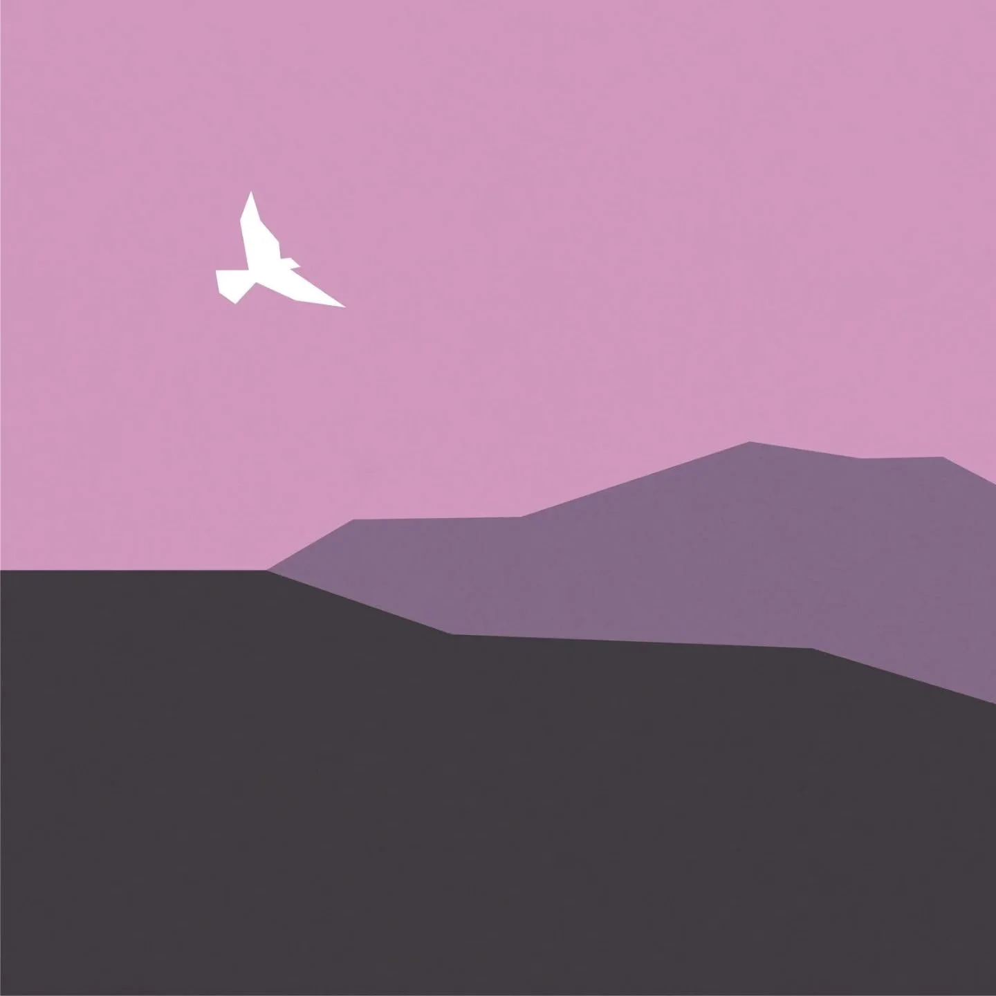 Coastal bird

#digitalart