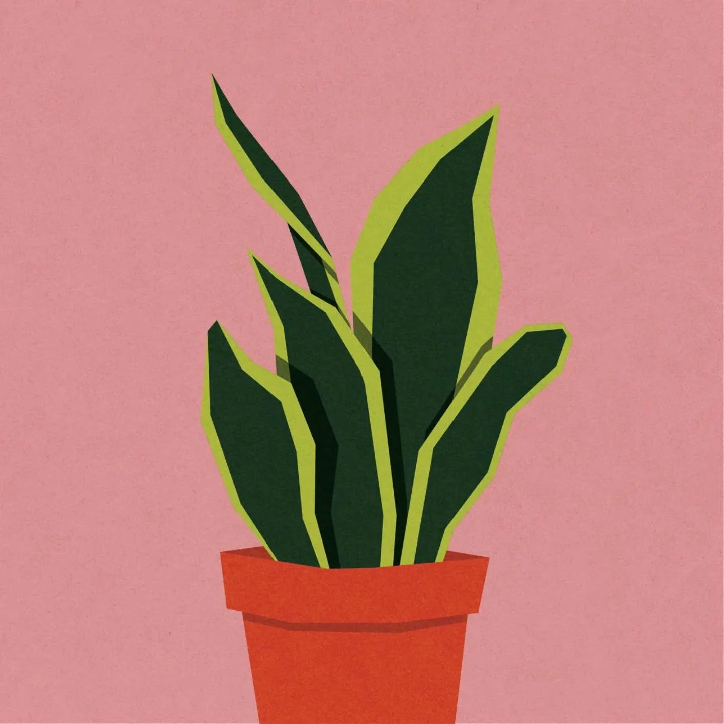 House plant study

#digitalart