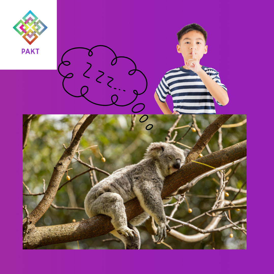 Magántanári workshop