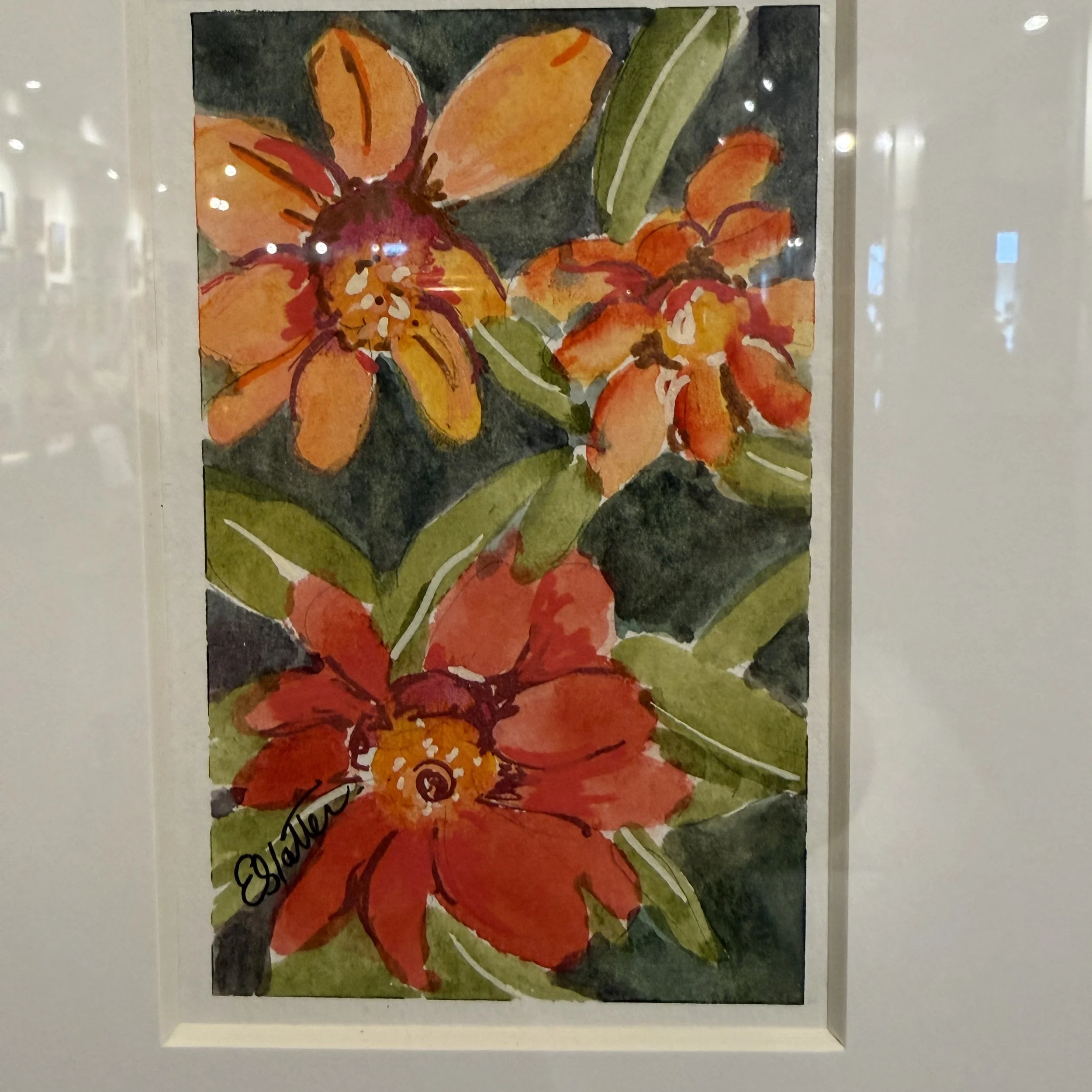 IMG_2396.jpeg