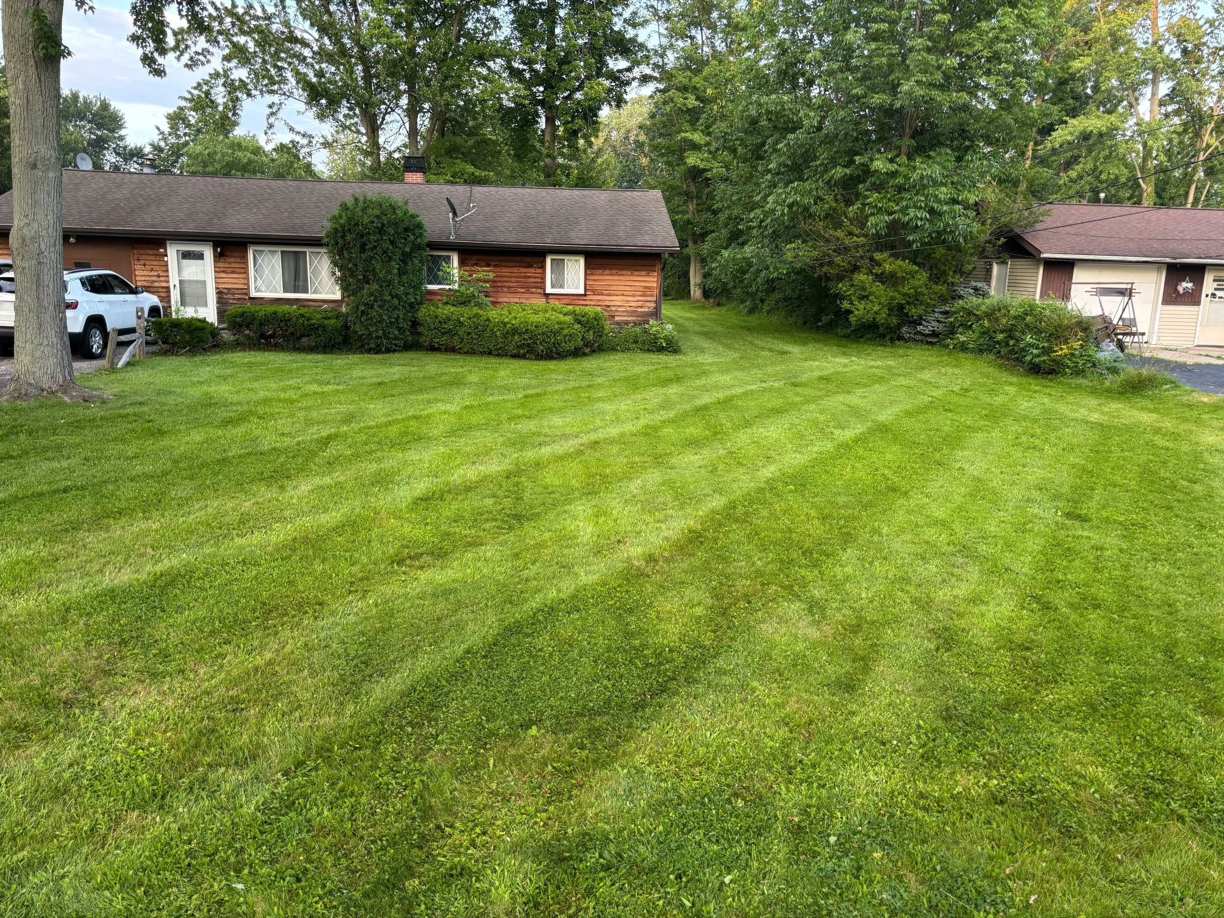 Basic Landscaping Services