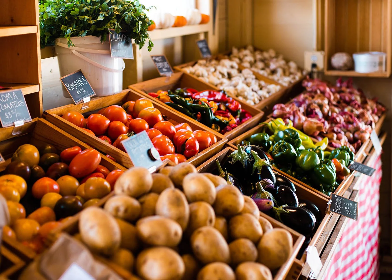 Wooden bins filled with fresh tomatoes, eggplants, potatoes, peppers, and garlic, with handwritten price tags, in a market stall with a red and white checkered tablecloth.