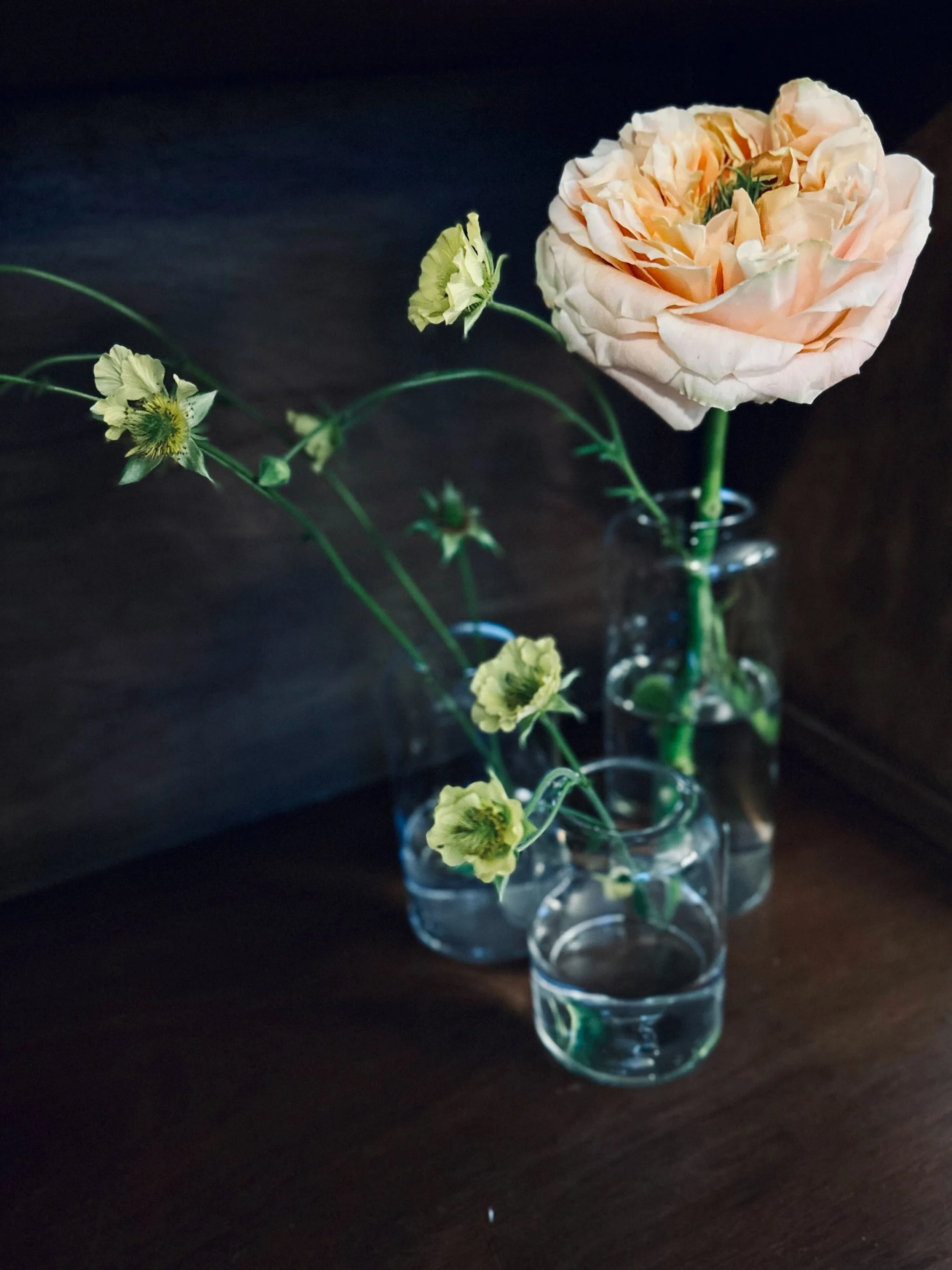 Trio Clear Bud Vase (sets of 3)