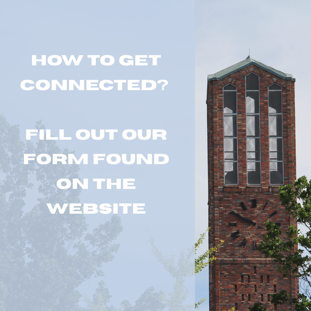 Copy of Untitled Design.png