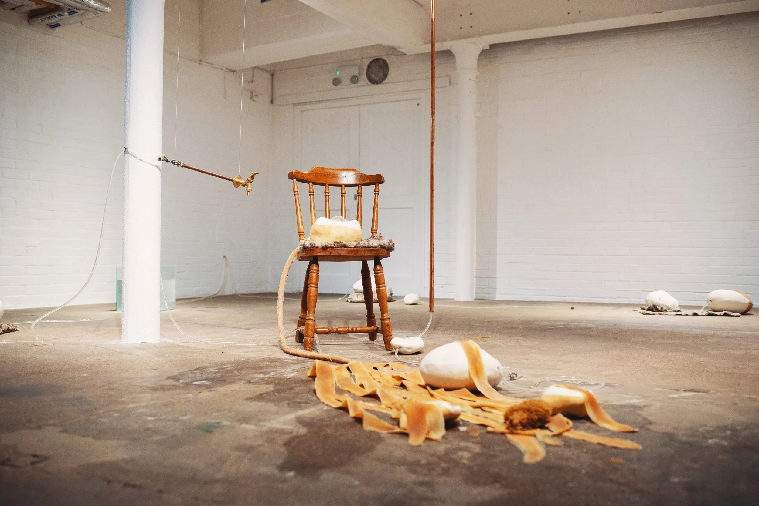 Helen Kohl | 'washed ashore by motherly waters' (2023) | Photo: Phil Brooks