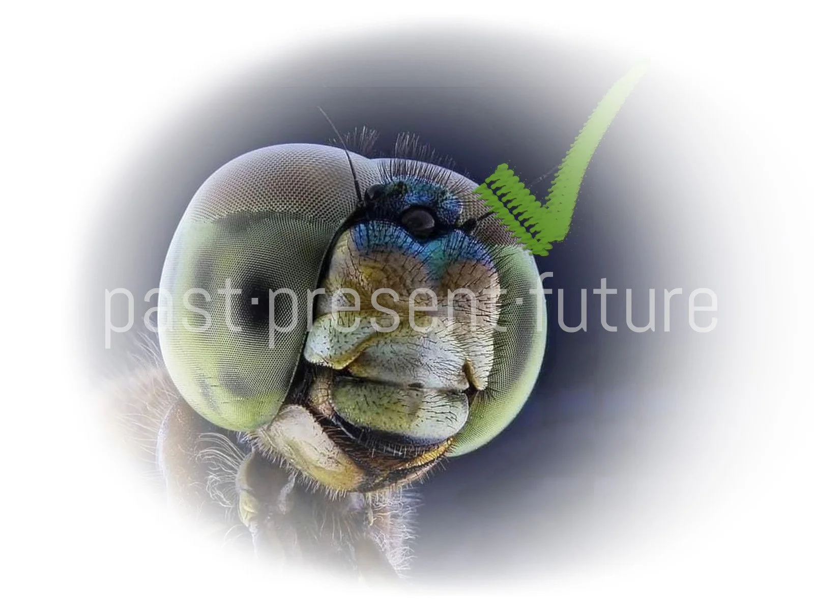 Metaphorward_Envisioning Holoptically 02.jpg