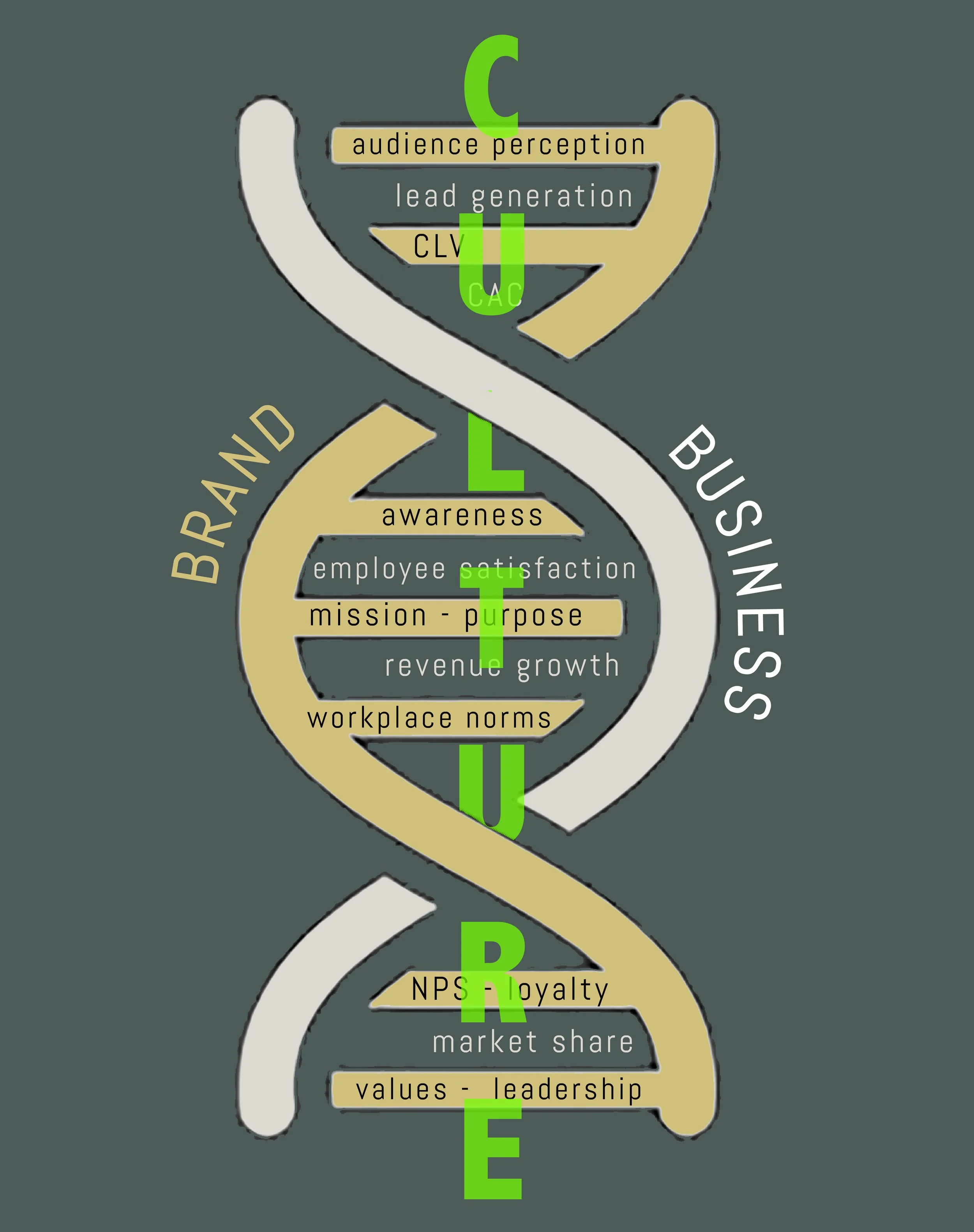 Business + Brand Strategies = Enterprise Culture