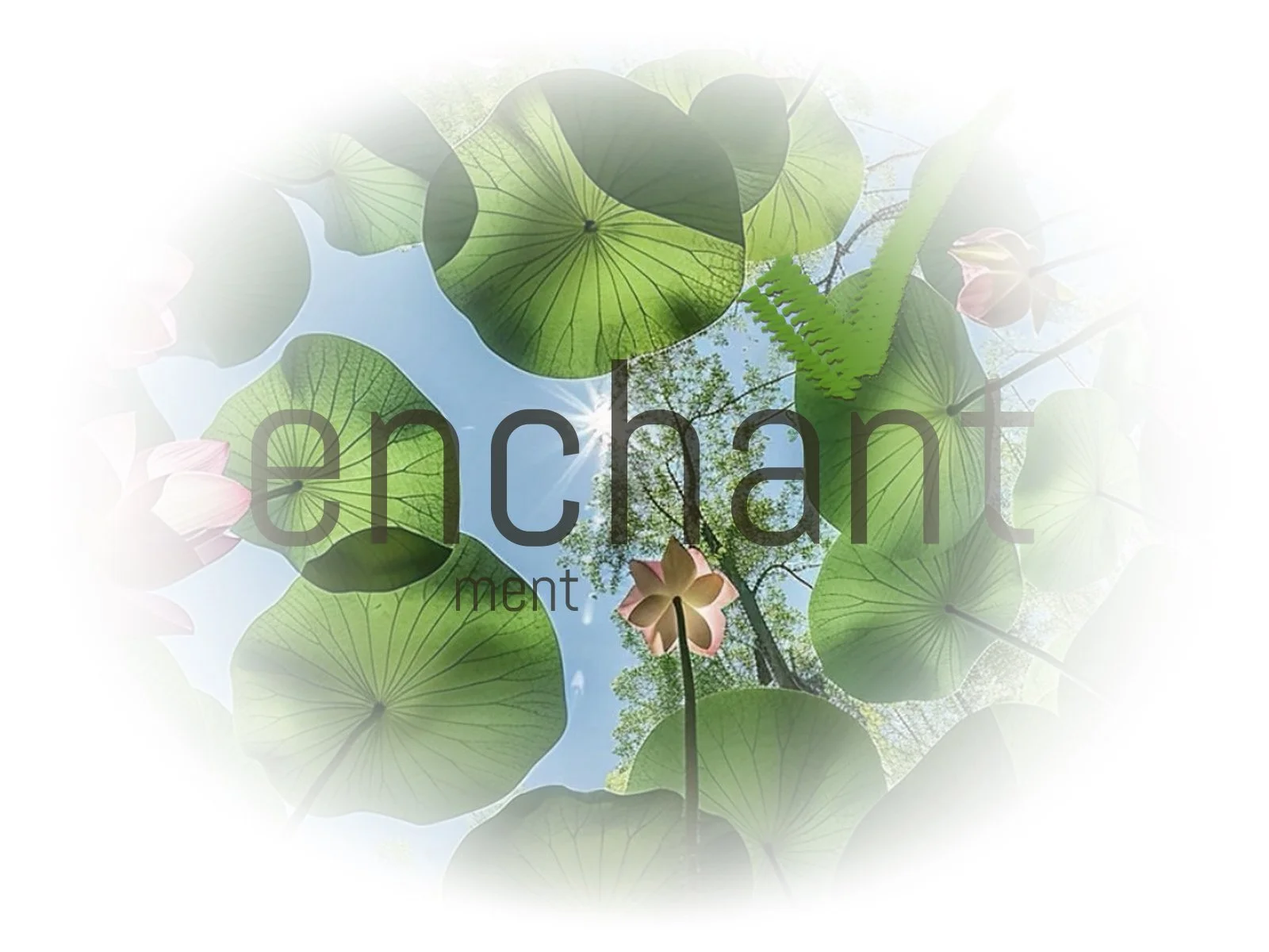 Metaphorward_Earth Enchanted Enterprise 03.jpg