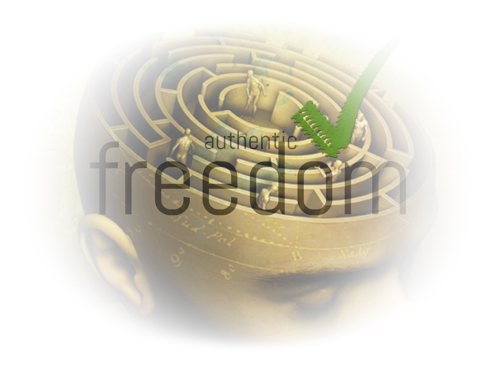 Metaphors_Decolonize Imagination 02.jpg