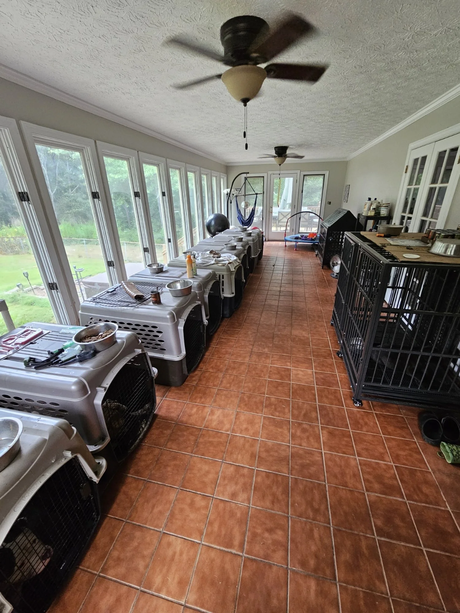 A bright sunroom with large glass windows on the left side, beige walls, and a tiled terracotta floor. The room contains multiple pet crates along the window side, and various pet supplies and cages on the right side. A ceiling fan is installed on the textured ceiling.
