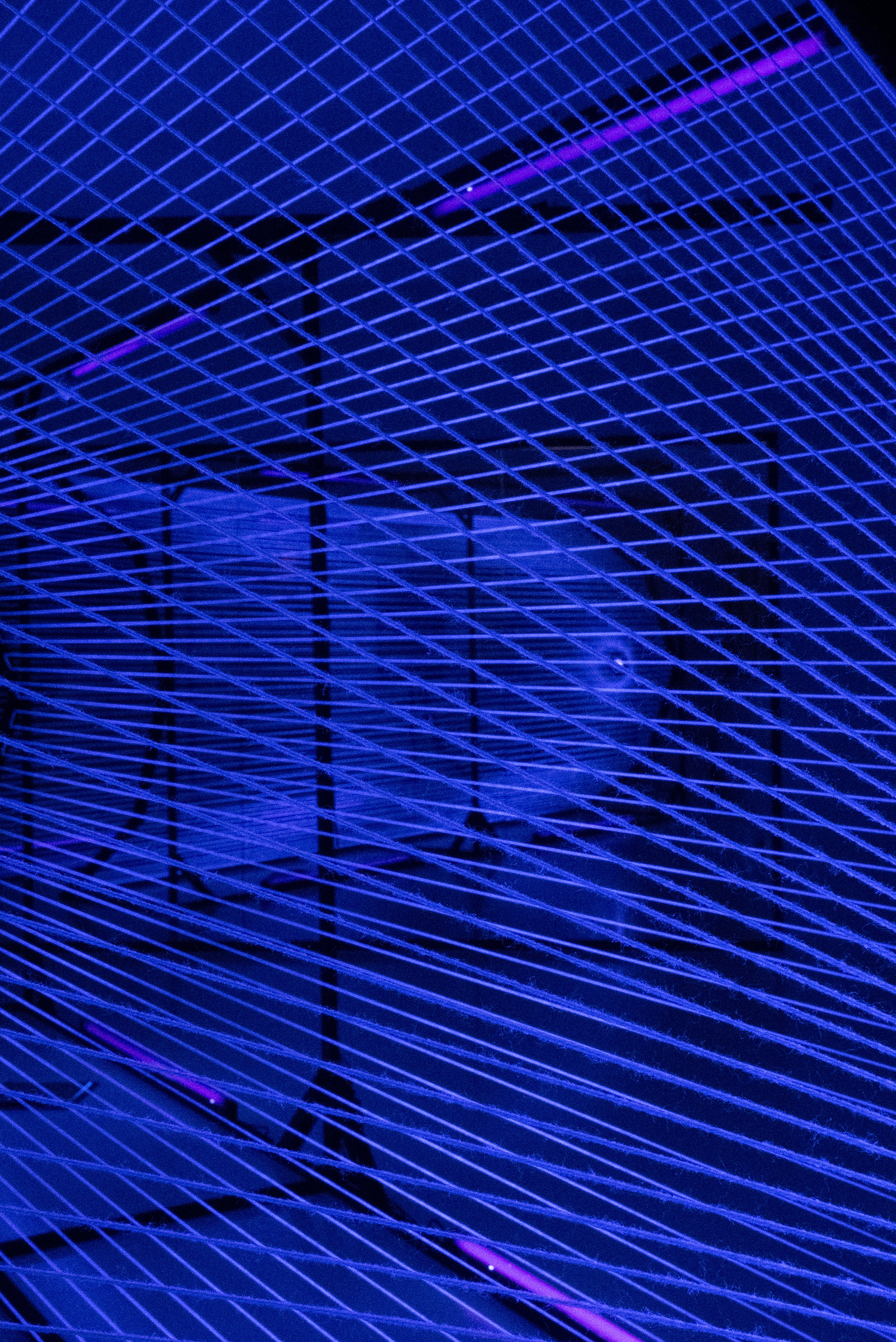 All About Aesthetics - Black Widow by Djeff