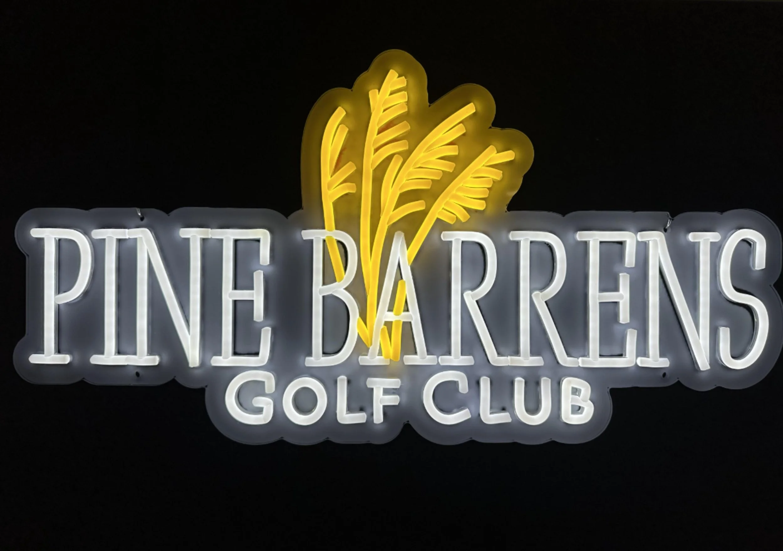 Pine Barrens.JPG