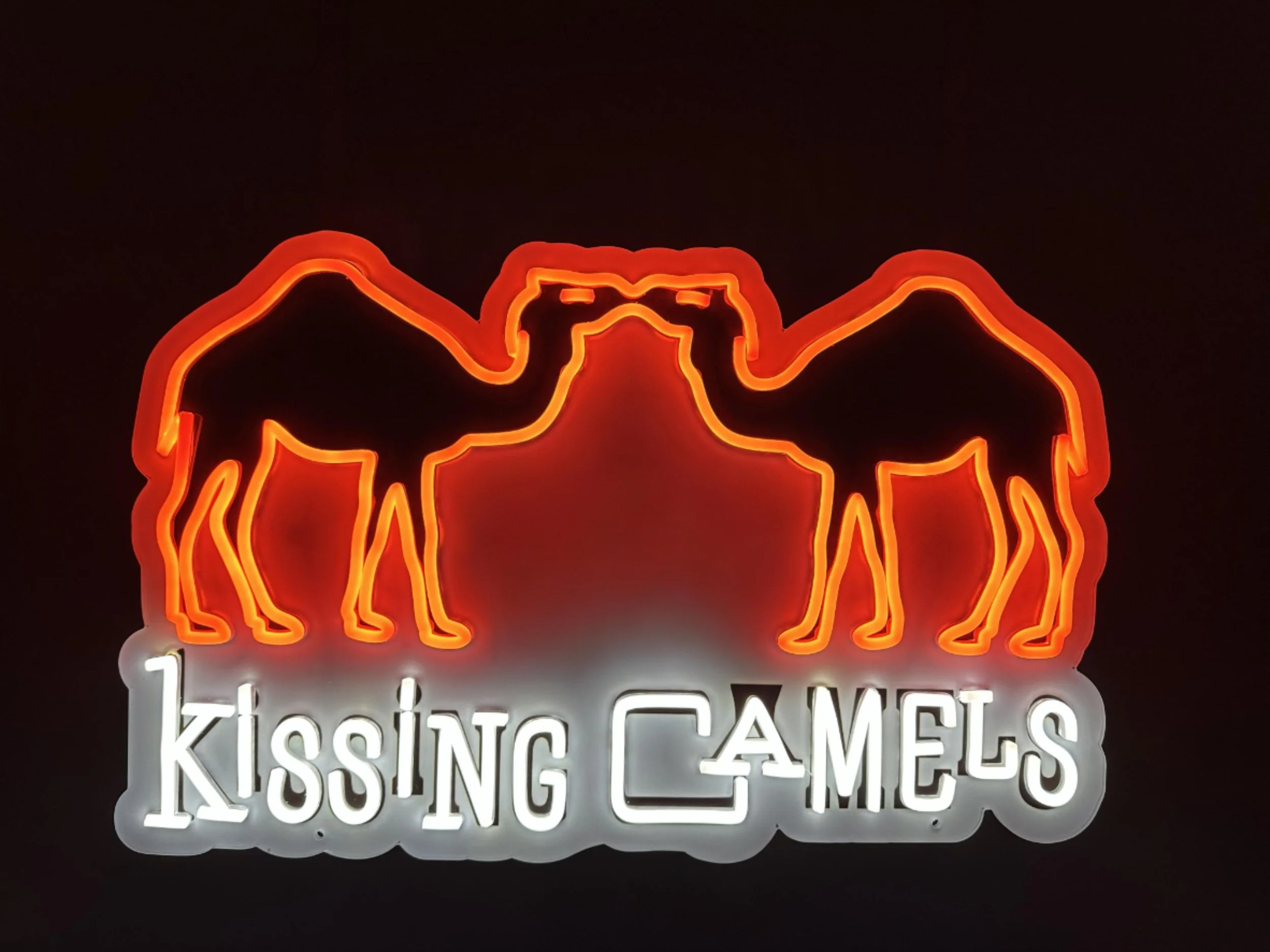 Kissing Camels.JPG