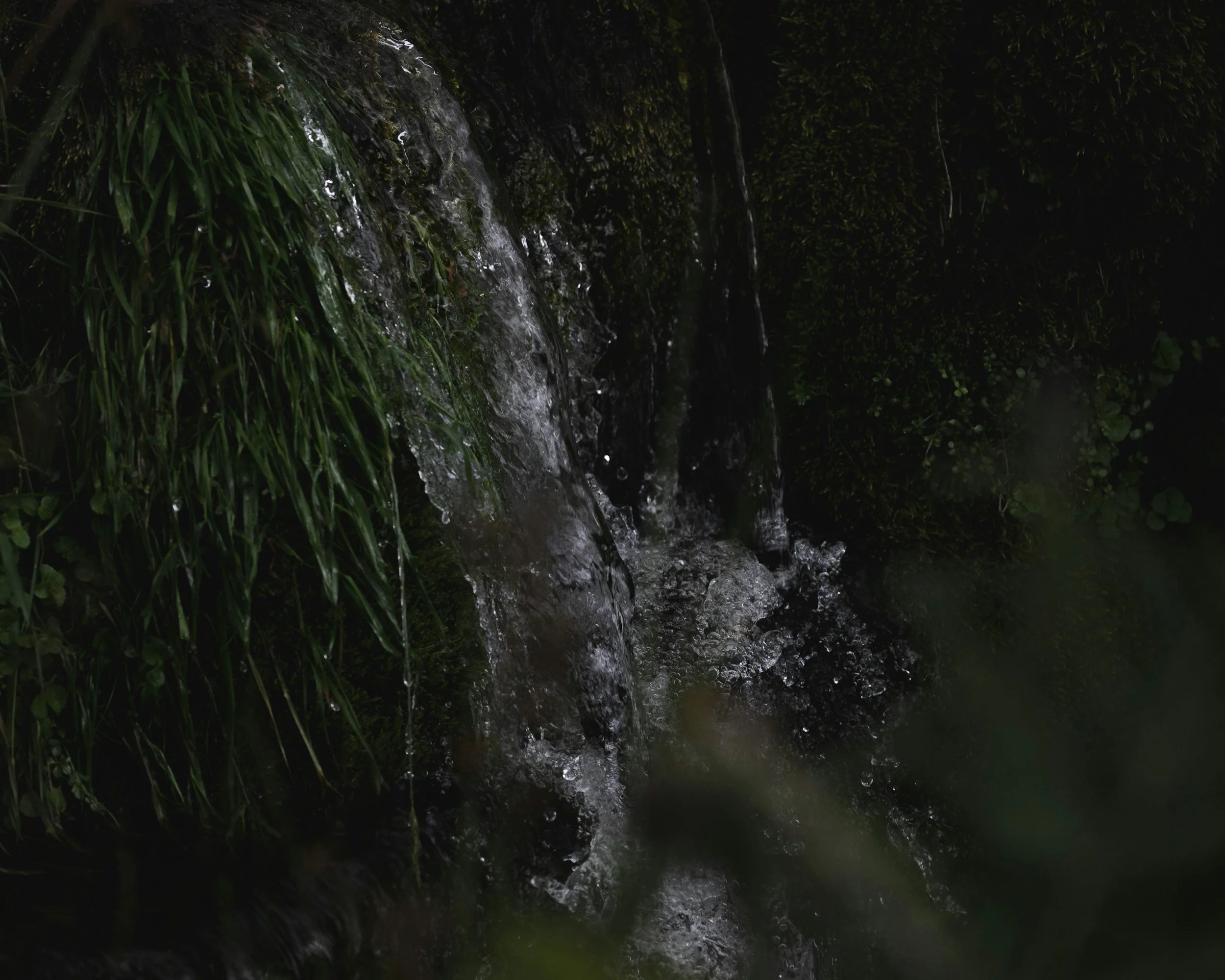 Introducing our new Rose Geranium Facial Serum