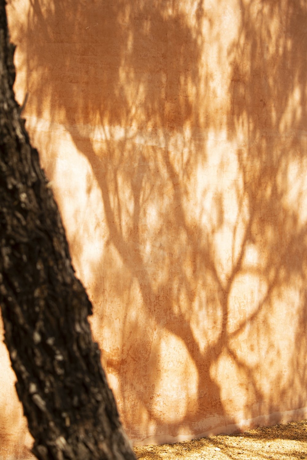 TERRACOTA_18.jpg