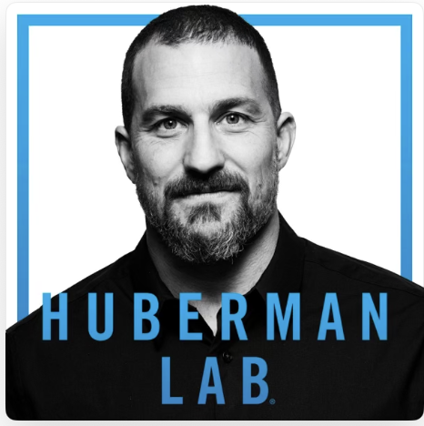 Huberman Lab Podcast.png