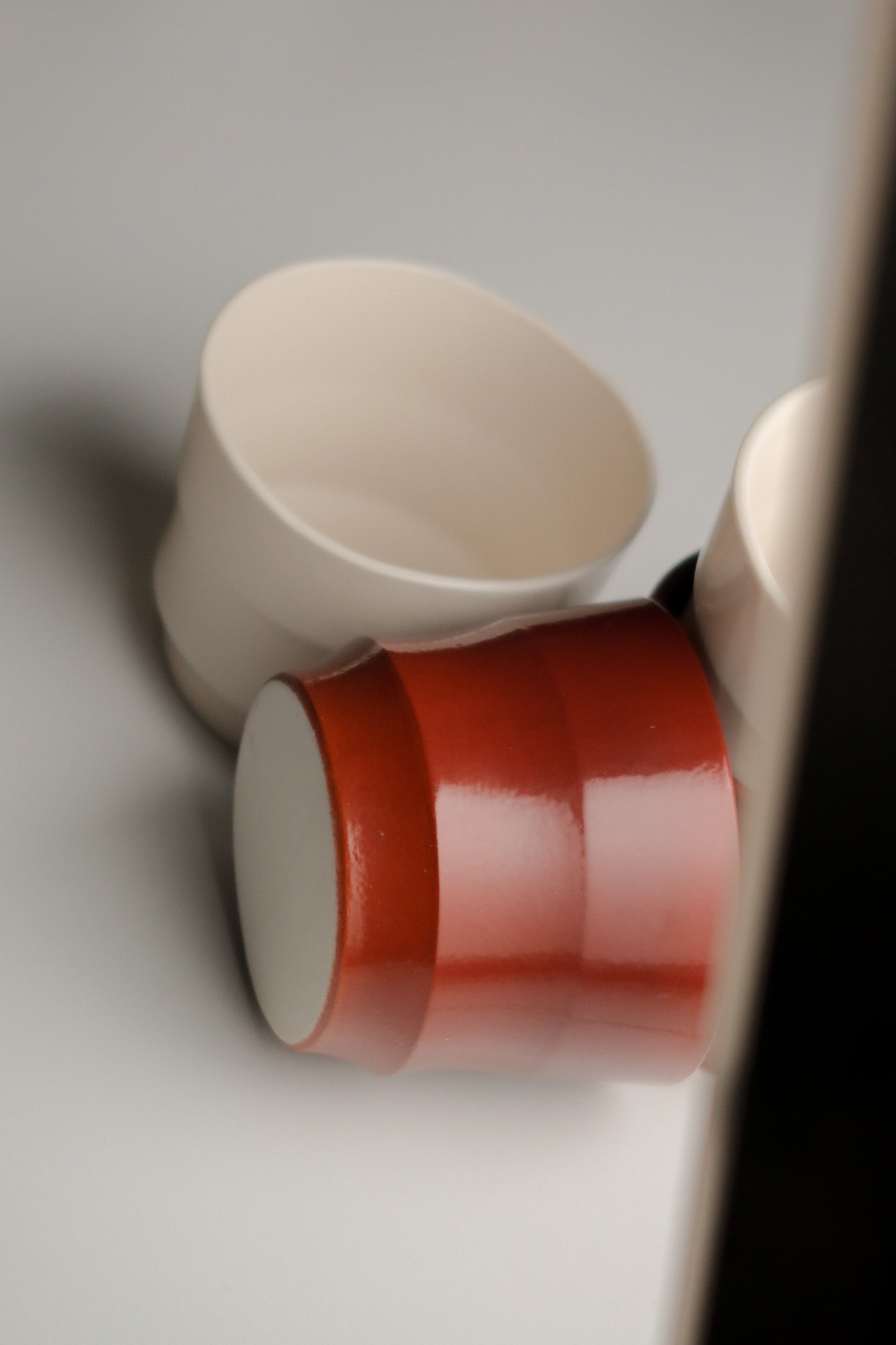 laddercup - rv - lichen3.JPEG